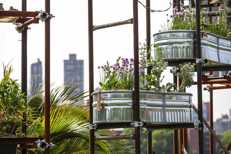 Plants in buckets as part of Ebb of Springtide by Mary Mattingly