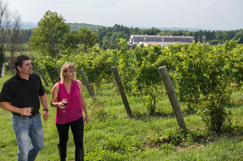 A couple at a winery in Millbrook, Hudson Valley