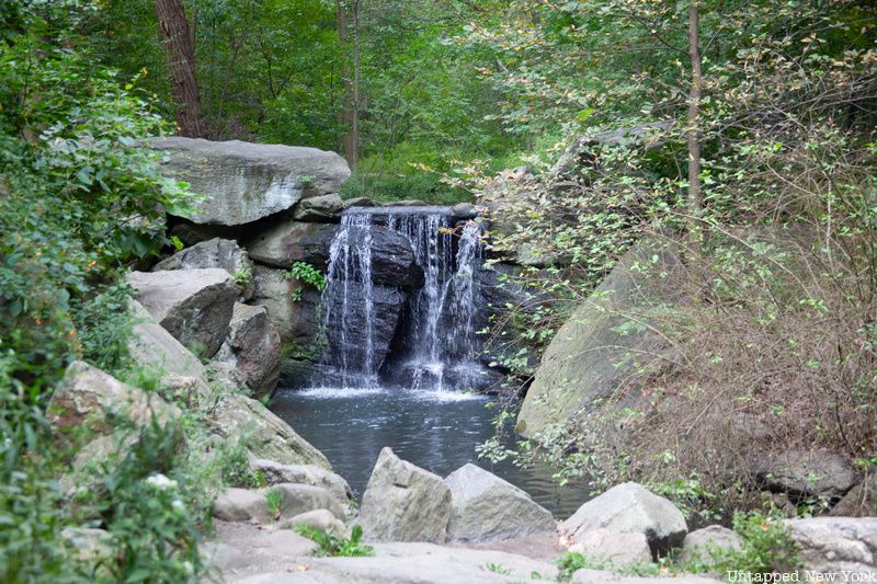 Waterfall in Central Park