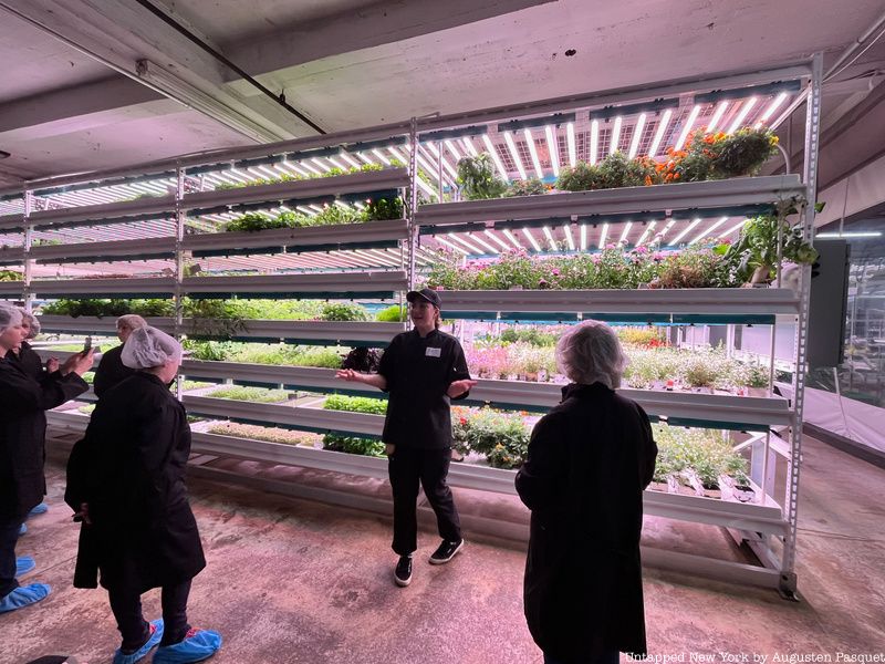 A tour group at Farm.One