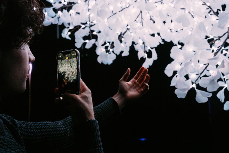 Hero Exhibition light tree