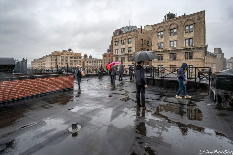 Insiders on the roof of the Belleclaire