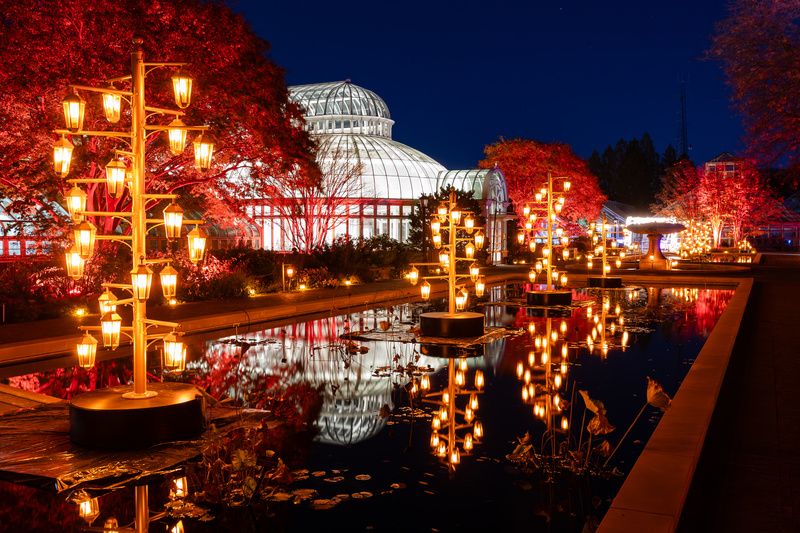 Lightscape at Brooklyn Botanic Garden