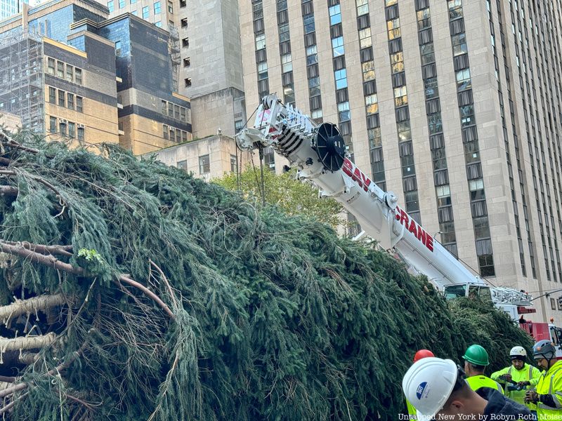 Rockefeller Center Christmas Tree