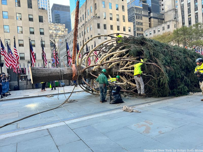 Rockefeller Center Christmas Tree