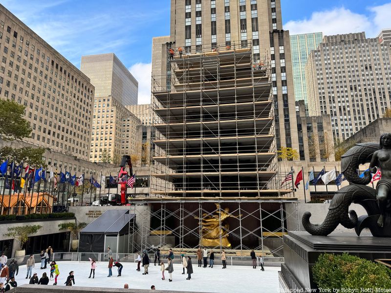 Rockefeller Center Christmas Tree