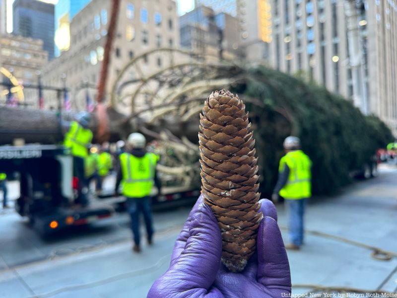 Rockefeller Center Christmas Tree