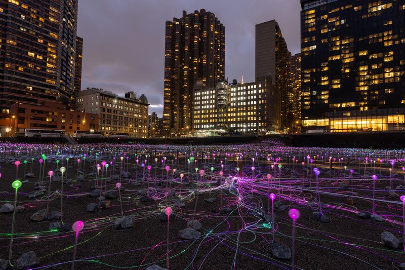 Field of Light at Freedom Plaza