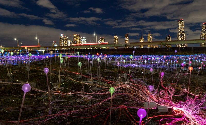 Field of Light at Freedom Plaza