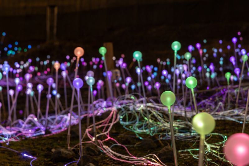 Field of Light at Freedom Plaza