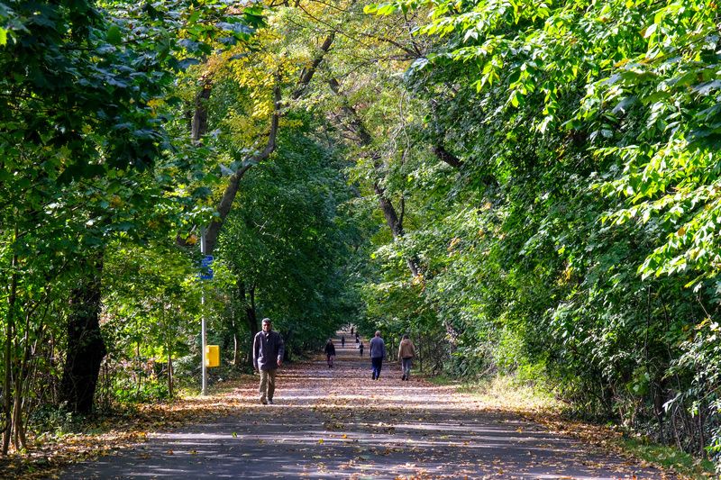 Vanderbilt Parkway Present Day