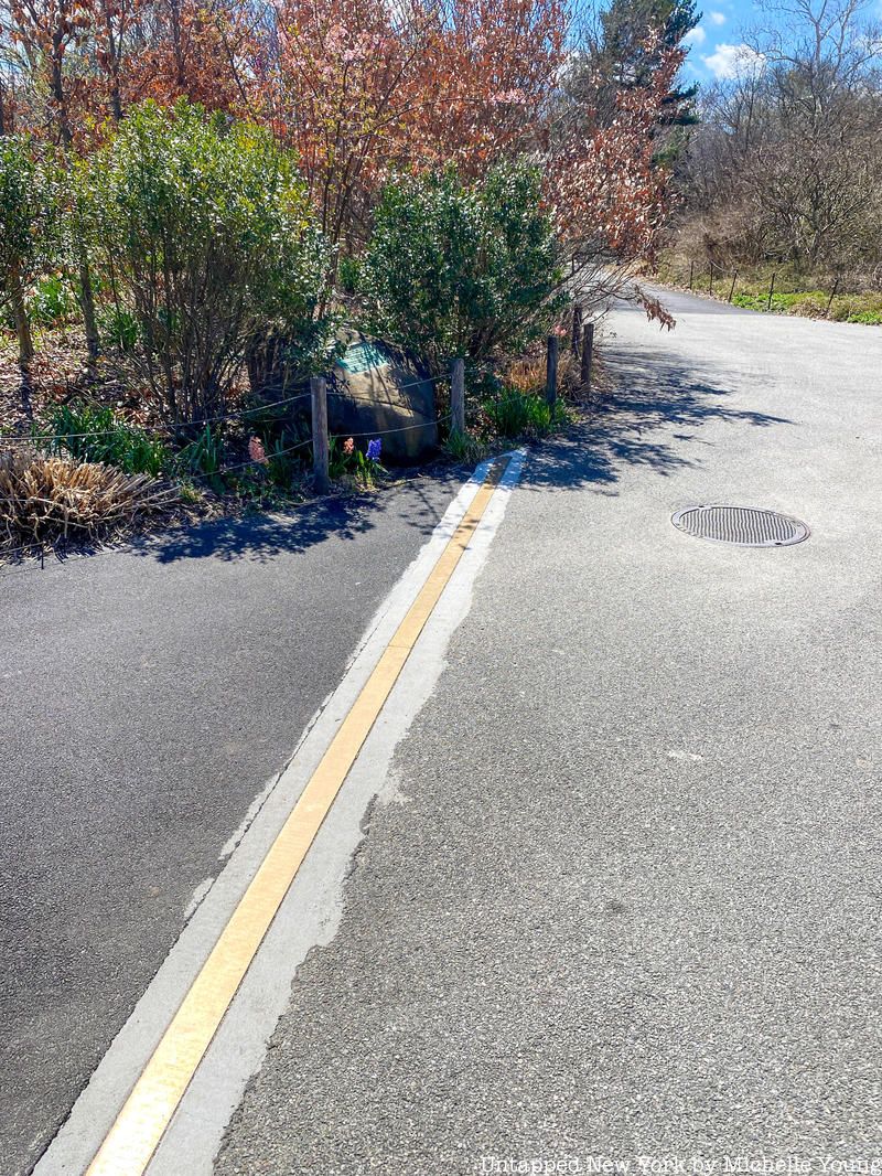 Brass line in Brooklyn Botanic Garden