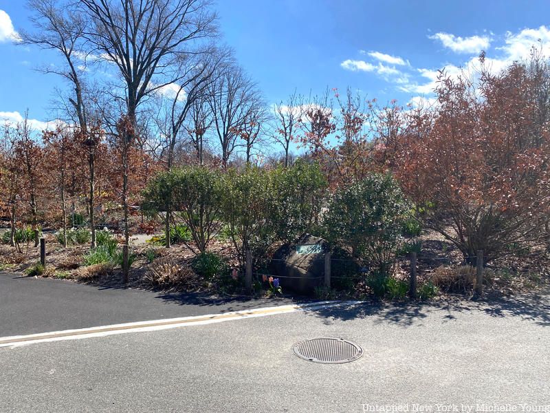 Brooklyn Botanic Garden brass border line Flatbush