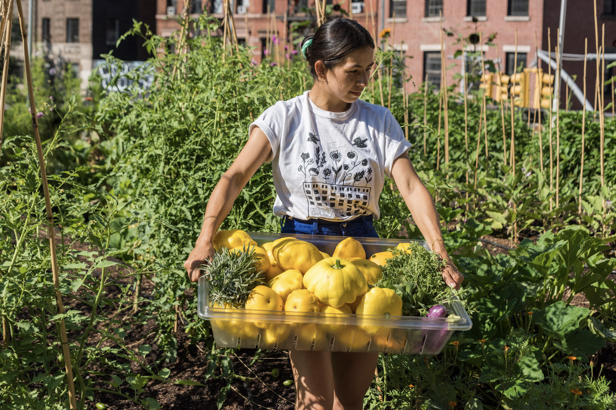 Woman holds a bin of vegetables and is surrounded by green plants