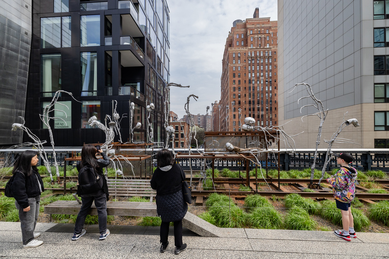 secondary forest on the High Line