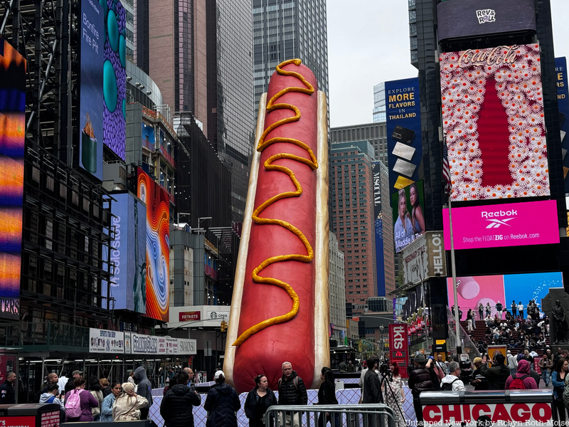 Times Square Hot Dog