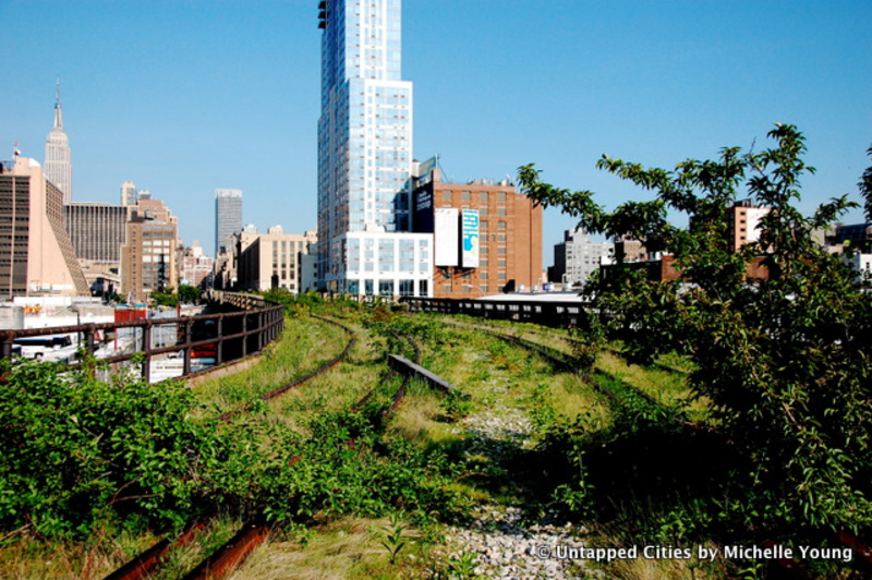 The High Line overgrown with grass and plants