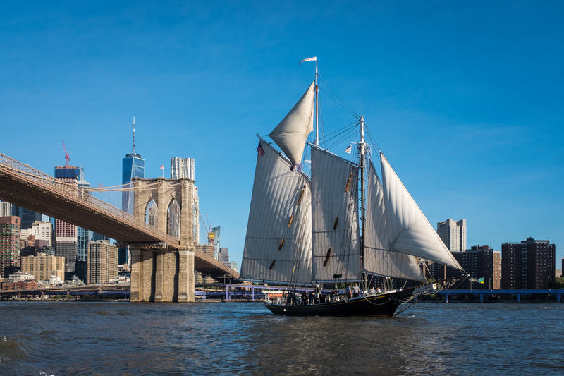 Schooner pioneer