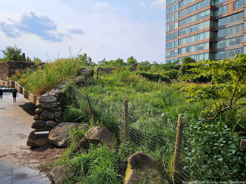 Field atop the irish hunger memorial