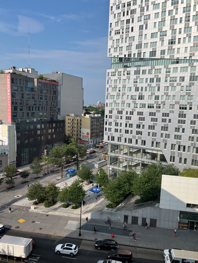 View from Alloy Block Overlooking Flatbush Ave: Photo Courtesy of Alina Butareva