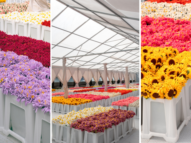 Flower Market installation on Roosevelt Island