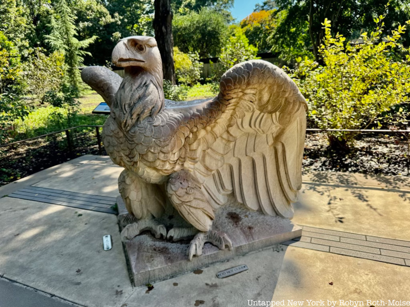 Penn Station eagle at the National Zoo