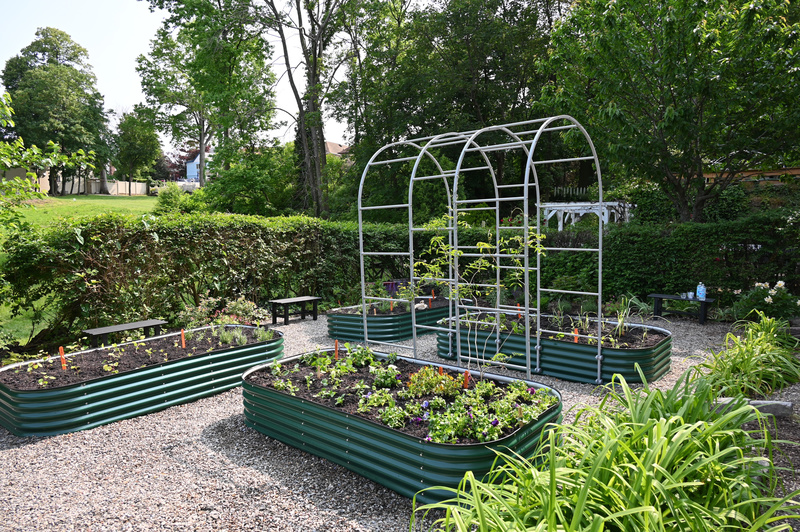 Queer Ecologies Garden at the Alice Austen House