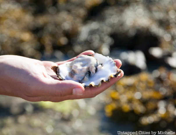 Hand carrying Oyster