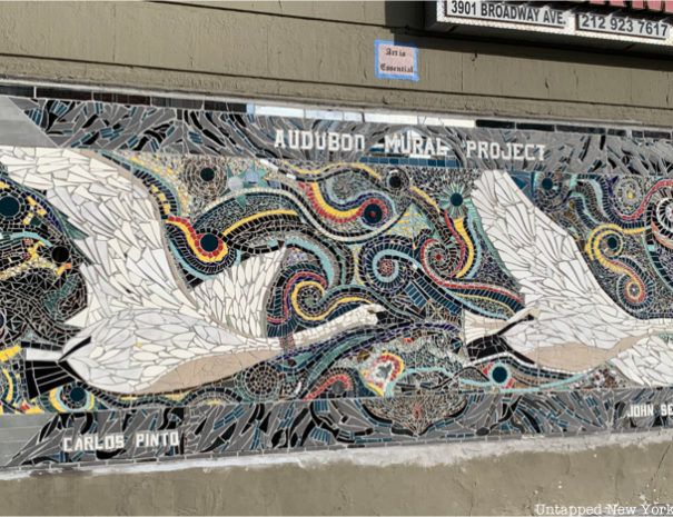 audobon-birds-mosaic-washington-heights-untapped-new-york0