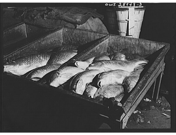 Fulton Fish Market History