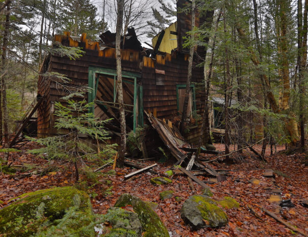 Abandoned wooden house in the forest