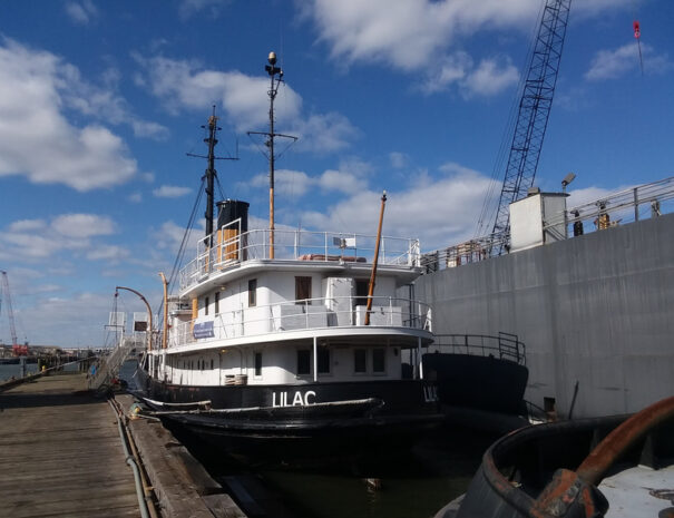 lilac-steamship-untapped-new-york1