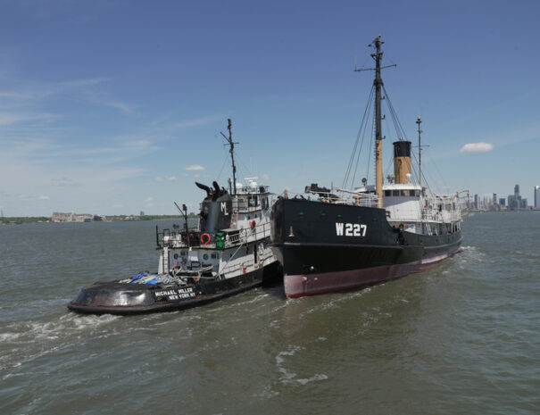 lilac-steamship-untapped-new-york3