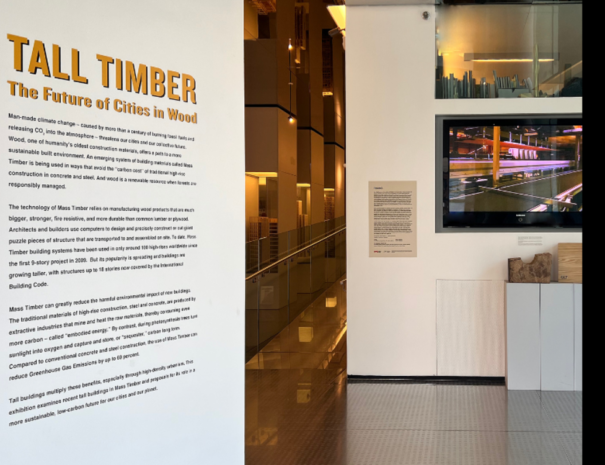 tall-timber-exhibit-skyscraper-museum-untapped-new-york8 (1)