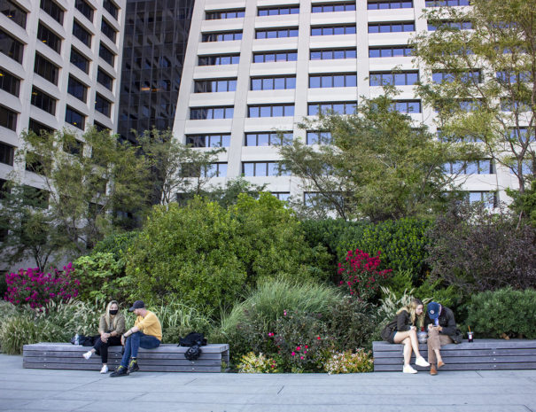 Elevated Acre - Hidden Gems of the Financial District Walking Tour
