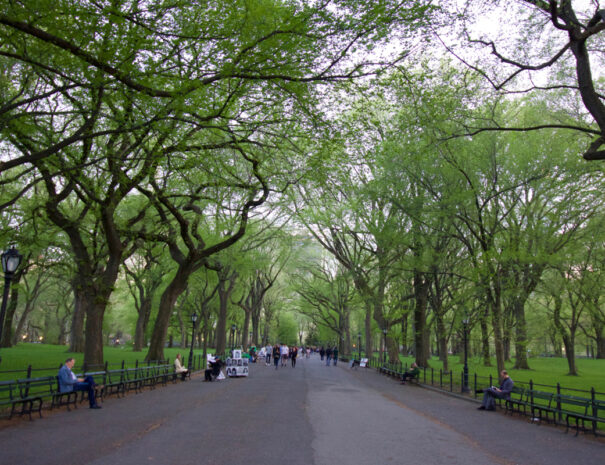 Untapped Central Park Tour