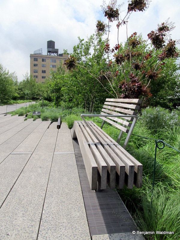 Section 1: The Beginning of the (High) Line