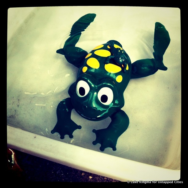 Toys of Chinatown-Luke Kingma-Perpetually Swimming Frog-NYC-2