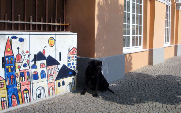 Das Hund waiting patiently outside the Weimar Museum