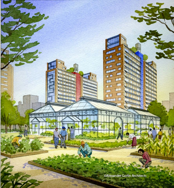 Brownsville public housing has enough open space to develop greenhouses and gardens.