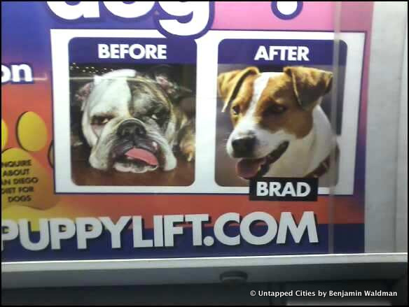 Dr Zizmor Parody Subway Ad Drmond Comedy Central-002 Puppy LIft Ad