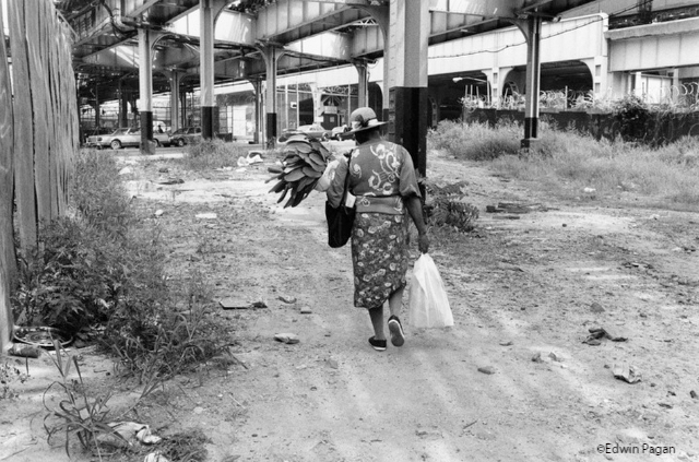 In Pagan's poignant photo, a woman carrying succulents and burdens walks beneath the El line.