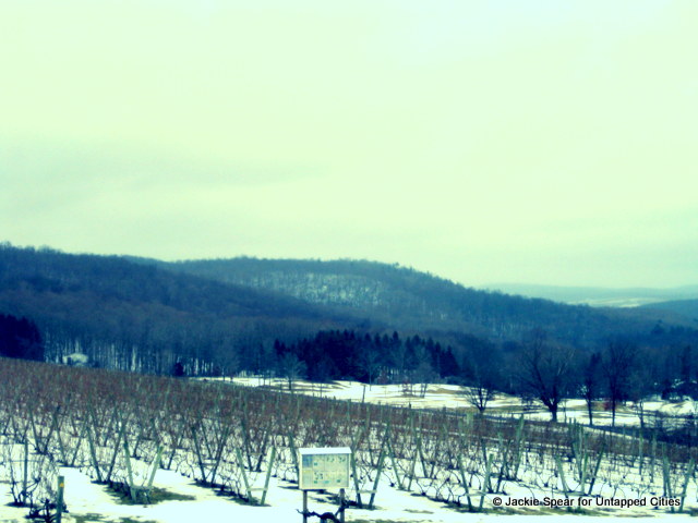 View of Millbrook Vineyards from the front of the former dairy barn.