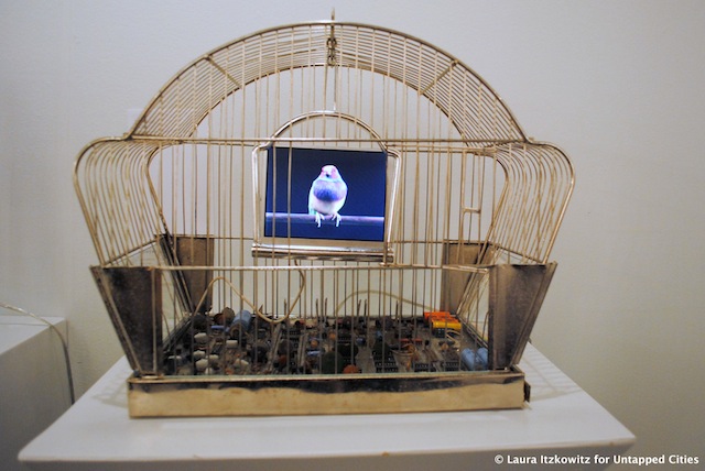 For this birdcage series, Troy Abbott used archival and original film footage to depict the natural world through coldly engineered technology in a trompe l'oeil effect.