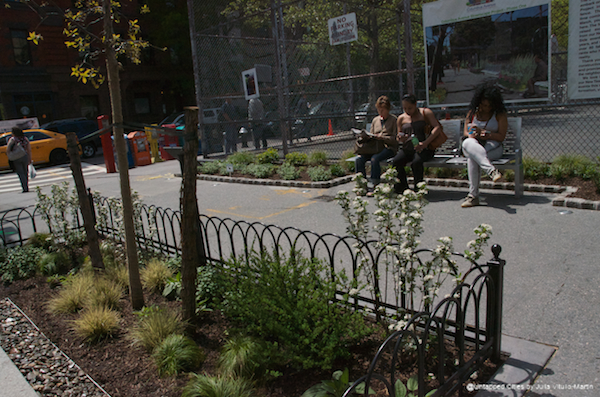 This Columbus Avenue bioswale is Manhattan's first.