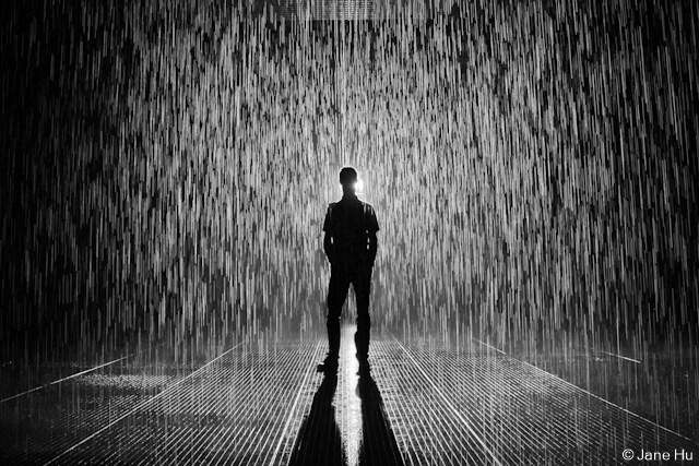 The Rain Room at MoMA [Photos] - Untapped New York