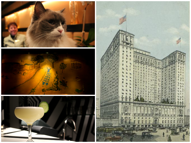 Our Untapped Tribute to Curbed Hotels Week