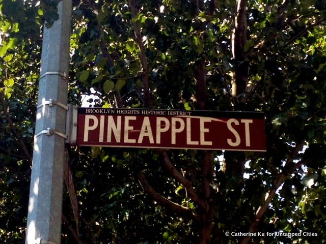 Pineapple Street Sign-Brooklyn Heights Historic District-NYC-Fruit Streets