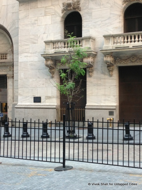 trees-roots-history-manhattan-NYC-Untapped-Cities-016