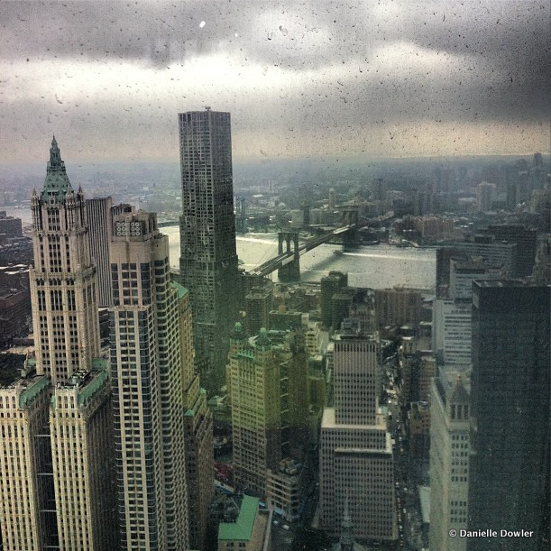 1 WTC View-Woolworth Building-Brooklyn Bridge-NY by Gehry-East River.png